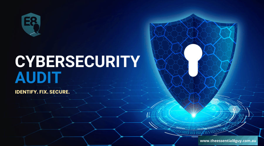 Cybersecurity Audit